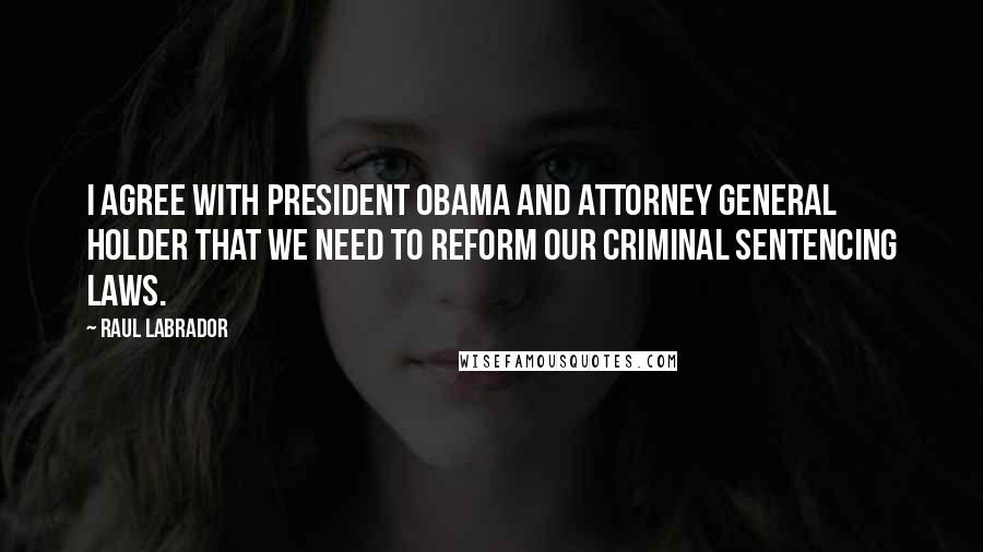 Raul Labrador Quotes: I agree with President Obama and Attorney General Holder that we need to reform our criminal sentencing laws.