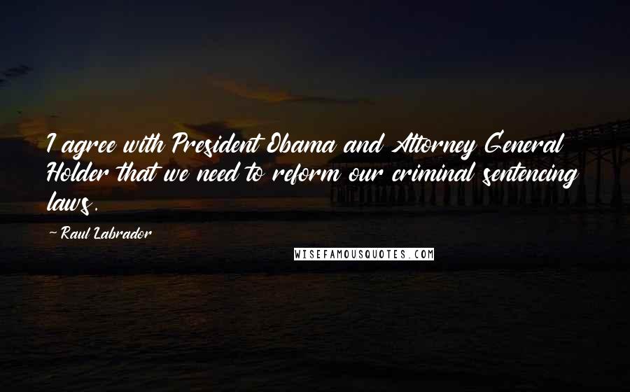Raul Labrador Quotes: I agree with President Obama and Attorney General Holder that we need to reform our criminal sentencing laws.