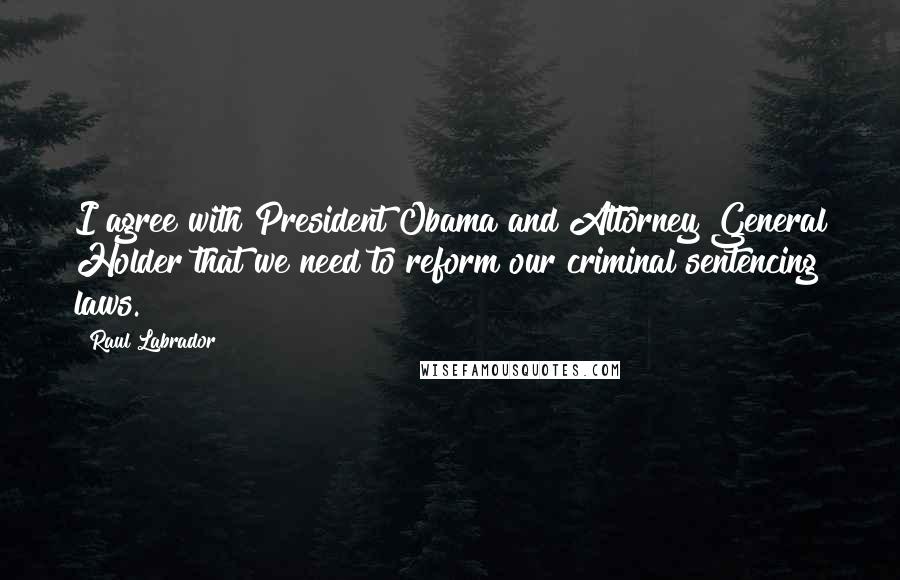 Raul Labrador Quotes: I agree with President Obama and Attorney General Holder that we need to reform our criminal sentencing laws.