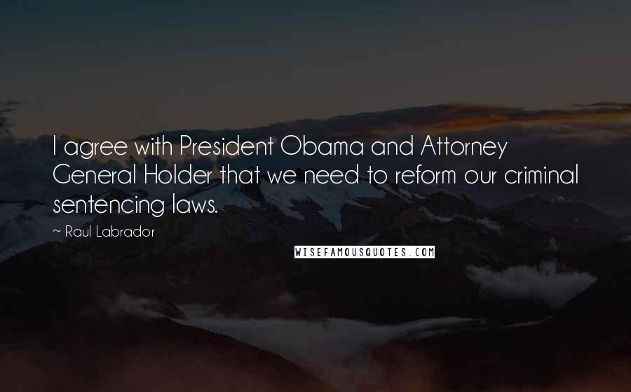 Raul Labrador Quotes: I agree with President Obama and Attorney General Holder that we need to reform our criminal sentencing laws.
