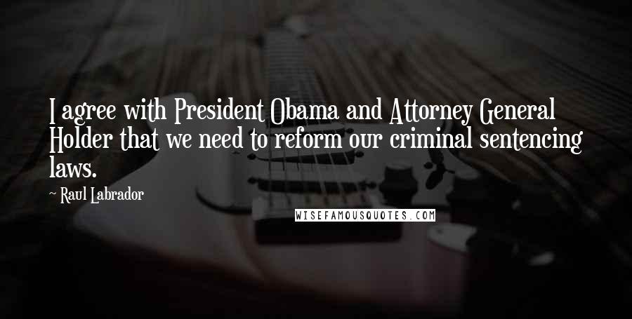 Raul Labrador Quotes: I agree with President Obama and Attorney General Holder that we need to reform our criminal sentencing laws.