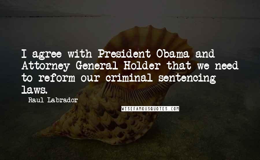 Raul Labrador Quotes: I agree with President Obama and Attorney General Holder that we need to reform our criminal sentencing laws.