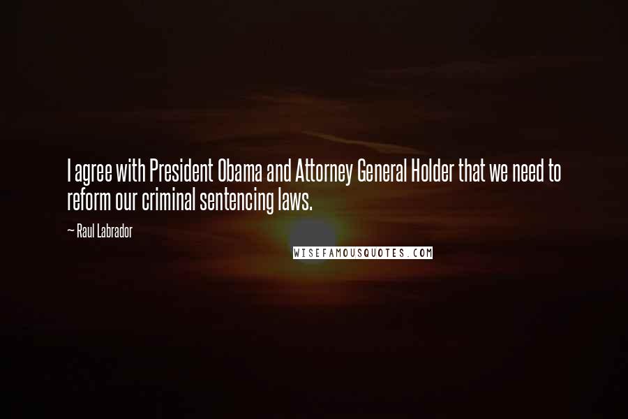 Raul Labrador Quotes: I agree with President Obama and Attorney General Holder that we need to reform our criminal sentencing laws.