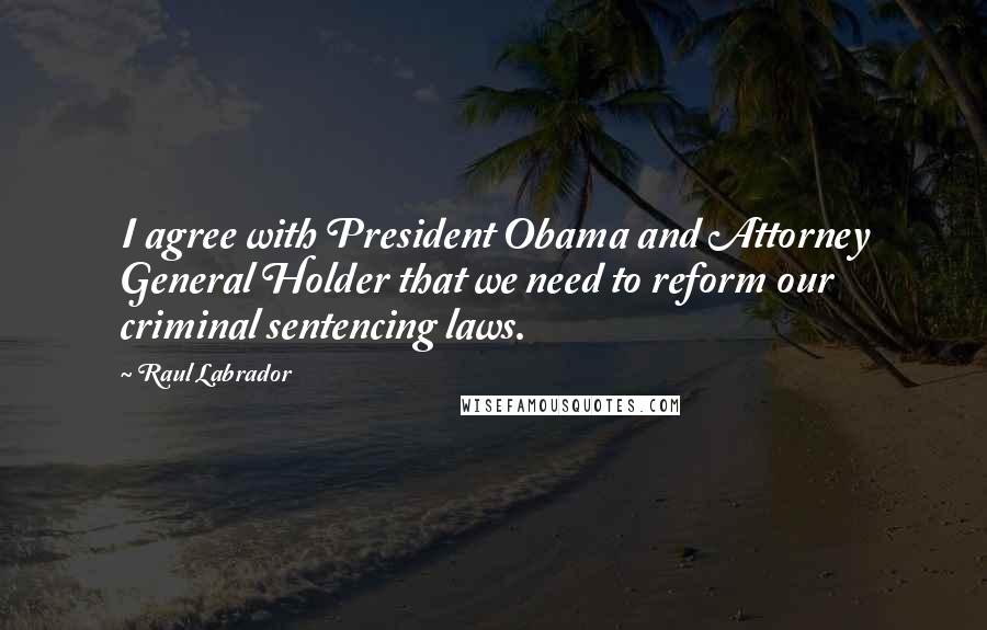 Raul Labrador Quotes: I agree with President Obama and Attorney General Holder that we need to reform our criminal sentencing laws.