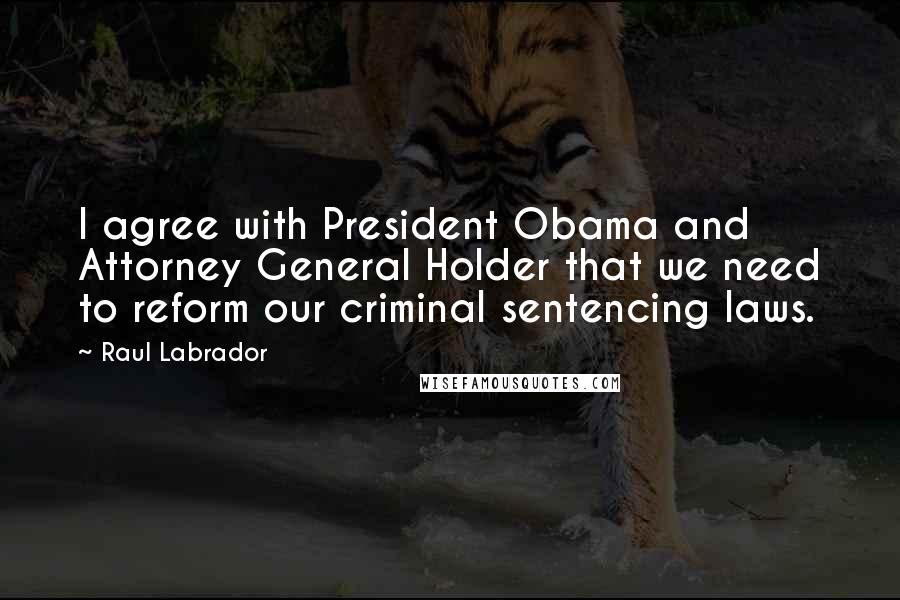 Raul Labrador Quotes: I agree with President Obama and Attorney General Holder that we need to reform our criminal sentencing laws.