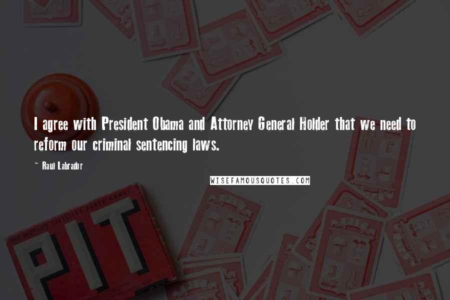 Raul Labrador Quotes: I agree with President Obama and Attorney General Holder that we need to reform our criminal sentencing laws.