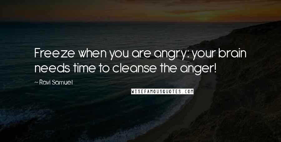 Ravi Samuel Quotes: Freeze when you are angry: your brain needs time to cleanse the anger!