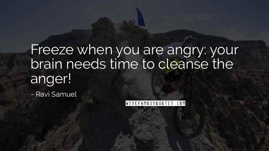 Ravi Samuel Quotes: Freeze when you are angry: your brain needs time to cleanse the anger!