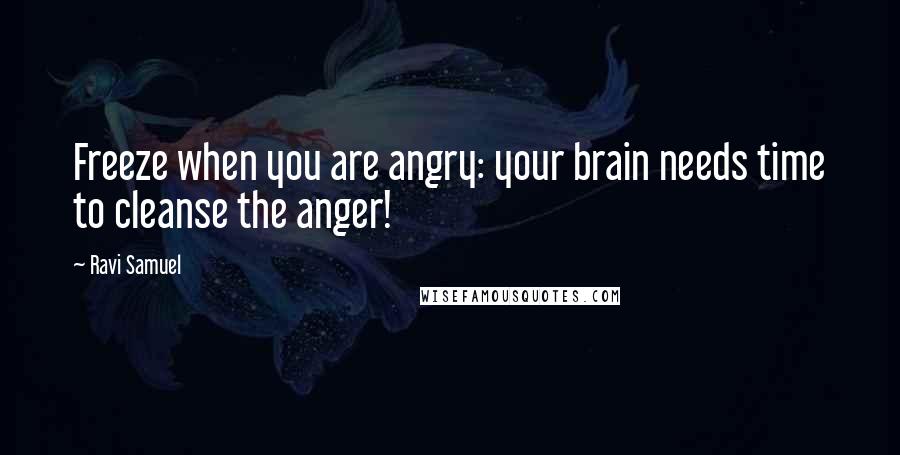 Ravi Samuel Quotes: Freeze when you are angry: your brain needs time to cleanse the anger!