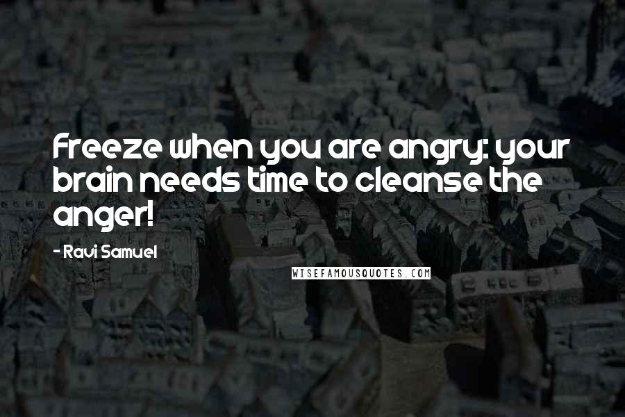 Ravi Samuel Quotes: Freeze when you are angry: your brain needs time to cleanse the anger!