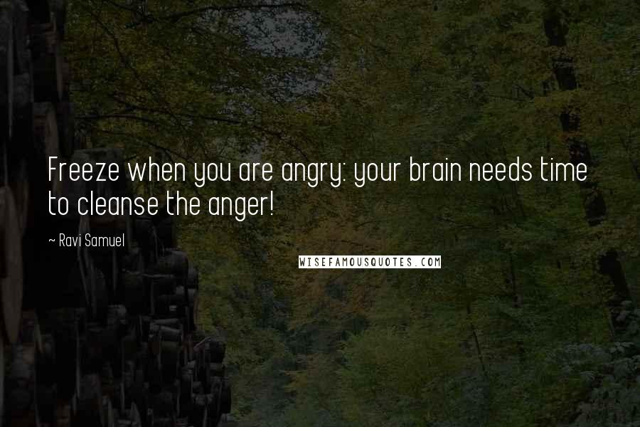 Ravi Samuel Quotes: Freeze when you are angry: your brain needs time to cleanse the anger!