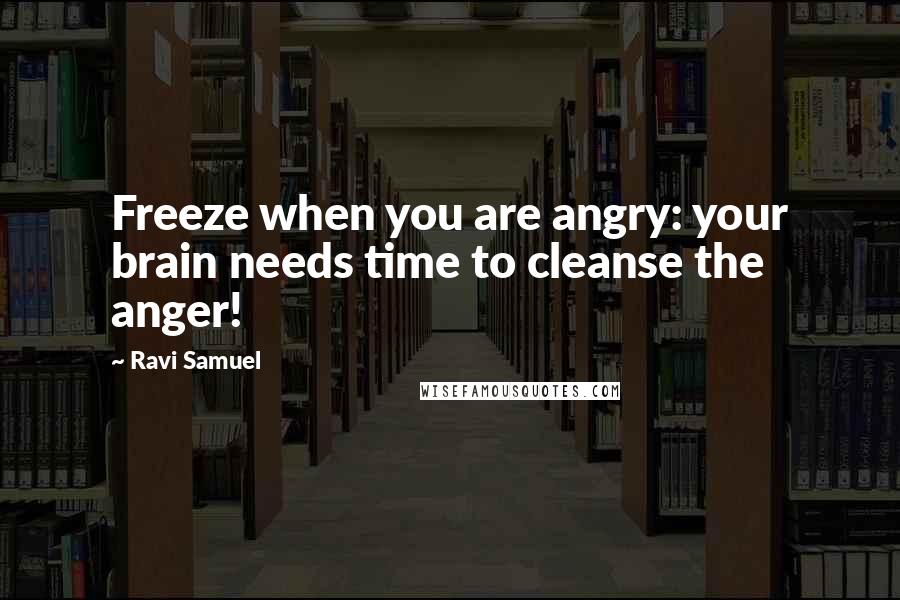 Ravi Samuel Quotes: Freeze when you are angry: your brain needs time to cleanse the anger!