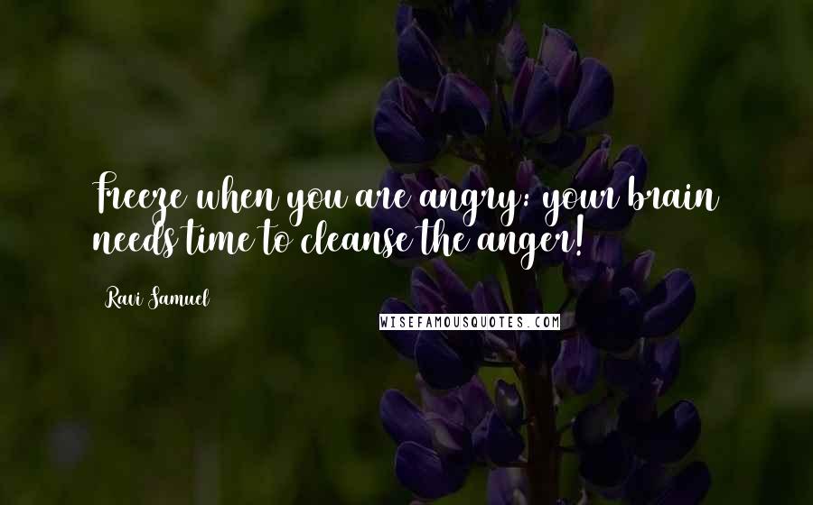 Ravi Samuel Quotes: Freeze when you are angry: your brain needs time to cleanse the anger!