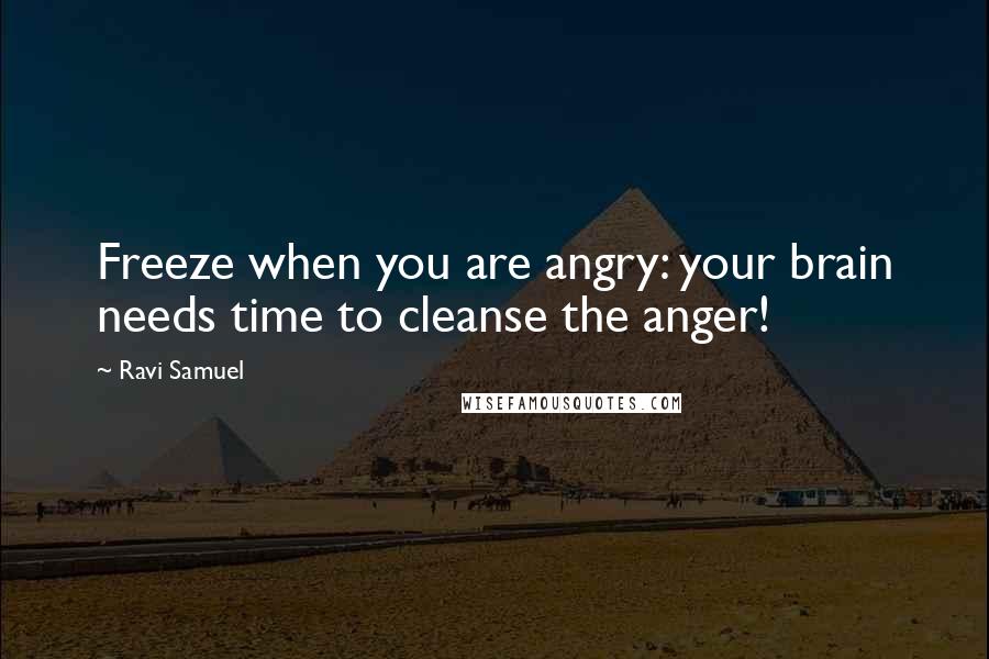 Ravi Samuel Quotes: Freeze when you are angry: your brain needs time to cleanse the anger!