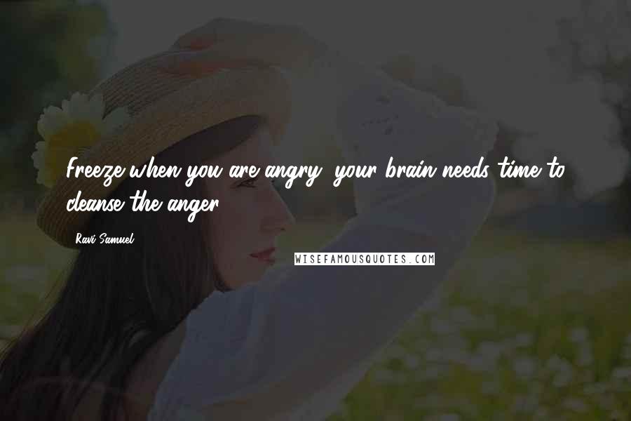 Ravi Samuel Quotes: Freeze when you are angry: your brain needs time to cleanse the anger!