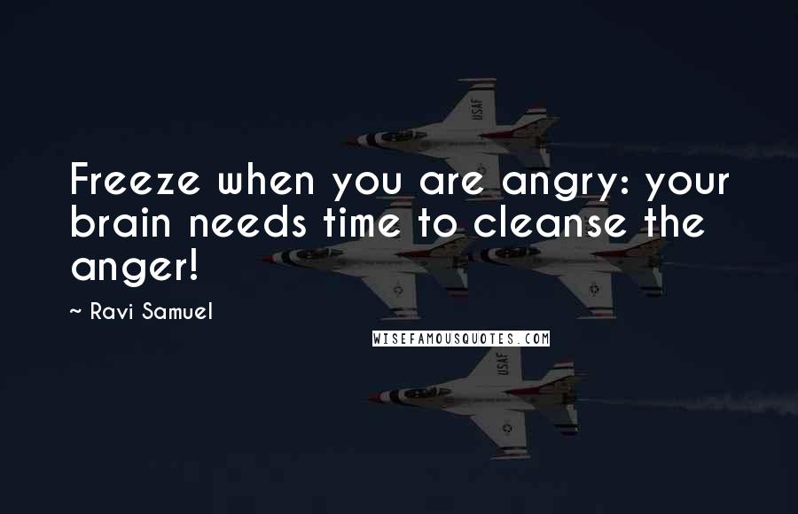 Ravi Samuel Quotes: Freeze when you are angry: your brain needs time to cleanse the anger!