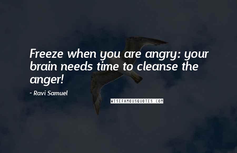 Ravi Samuel Quotes: Freeze when you are angry: your brain needs time to cleanse the anger!