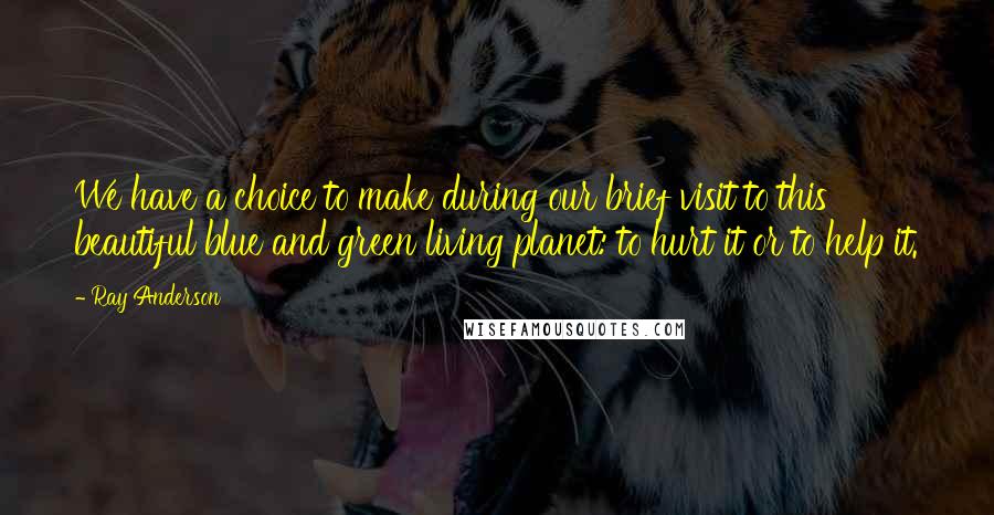 Ray Anderson Quotes: We have a choice to make during our brief visit to this beautiful blue and green living planet: to hurt it or to help it.