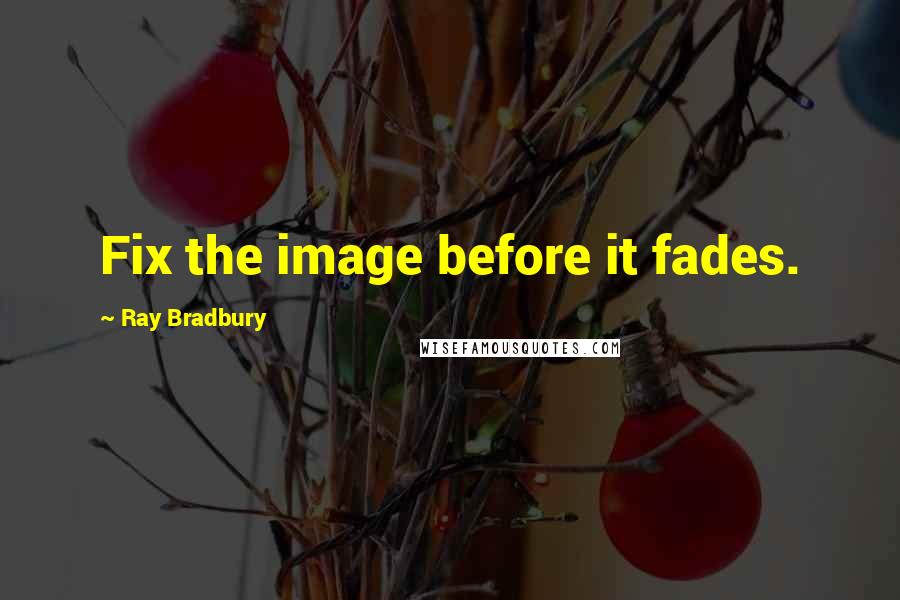 Ray Bradbury Quotes: Fix the image before it fades.