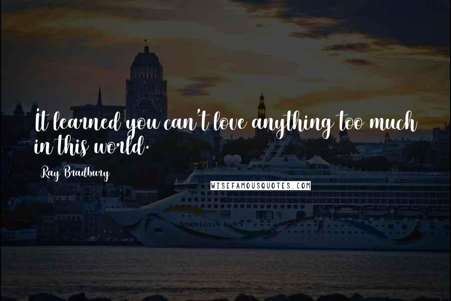 Ray Bradbury Quotes: It learned you can't love anything too much in this world.