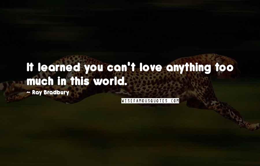 Ray Bradbury Quotes: It learned you can't love anything too much in this world.