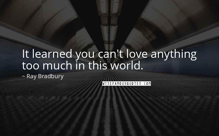 Ray Bradbury Quotes: It learned you can't love anything too much in this world.