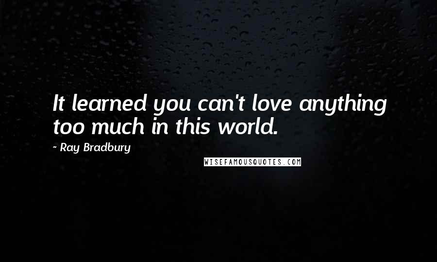 Ray Bradbury Quotes: It learned you can't love anything too much in this world.