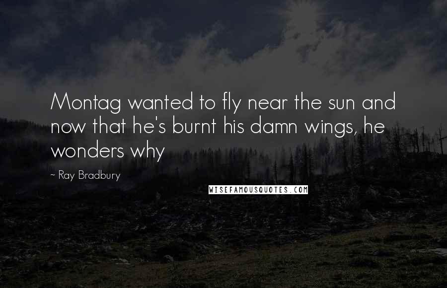 Ray Bradbury Quotes: Montag wanted to fly near the sun and now that he's burnt his damn wings, he wonders why