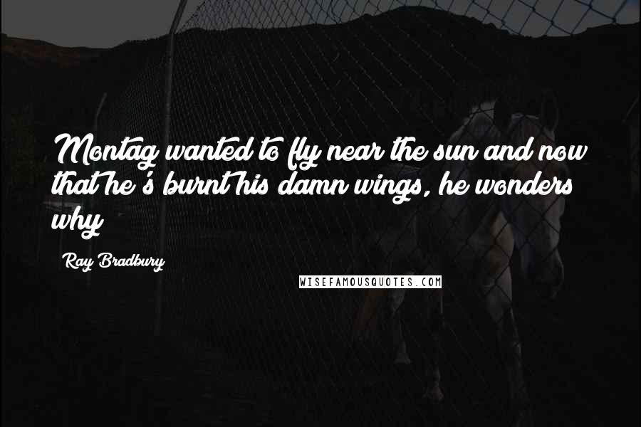 Ray Bradbury Quotes: Montag wanted to fly near the sun and now that he's burnt his damn wings, he wonders why