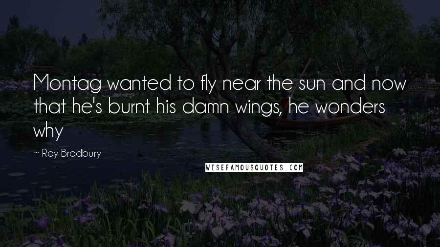 Ray Bradbury Quotes: Montag wanted to fly near the sun and now that he's burnt his damn wings, he wonders why