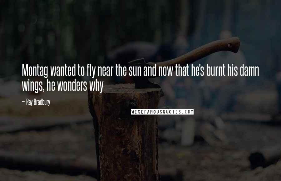 Ray Bradbury Quotes: Montag wanted to fly near the sun and now that he's burnt his damn wings, he wonders why
