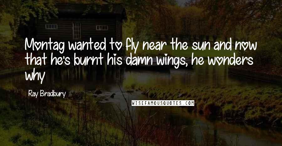 Ray Bradbury Quotes: Montag wanted to fly near the sun and now that he's burnt his damn wings, he wonders why