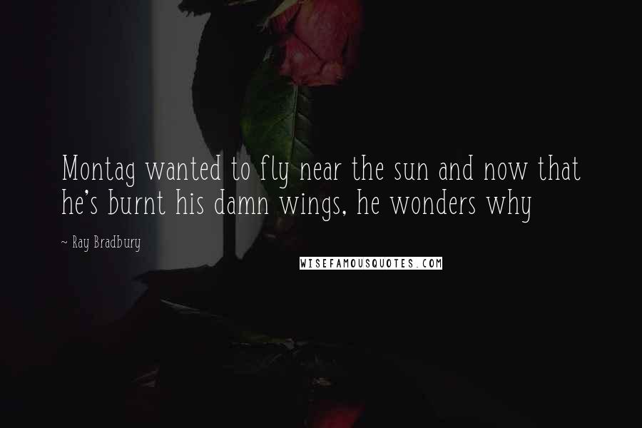 Ray Bradbury Quotes: Montag wanted to fly near the sun and now that he's burnt his damn wings, he wonders why