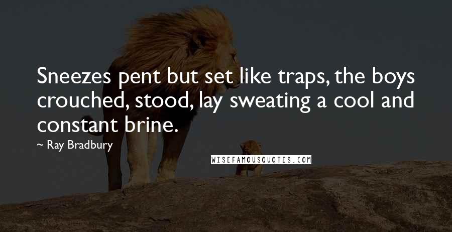 Ray Bradbury Quotes: Sneezes pent but set like traps, the boys crouched, stood, lay sweating a cool and constant brine.