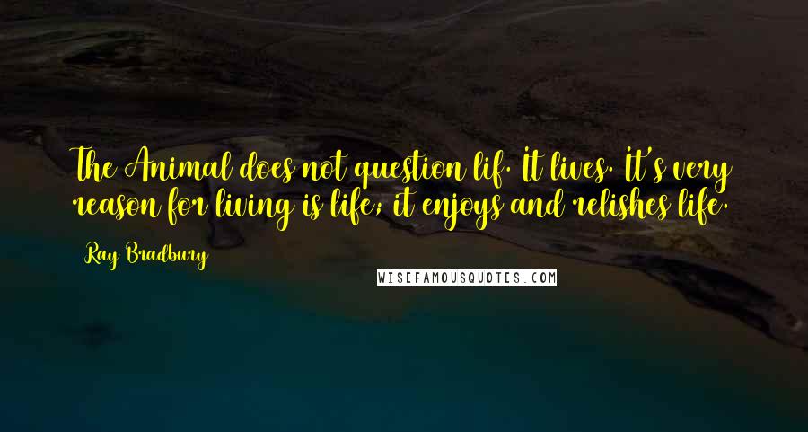 Ray Bradbury Quotes: The Animal does not question lif. It lives. It's very reason for living is life; it enjoys and relishes life.