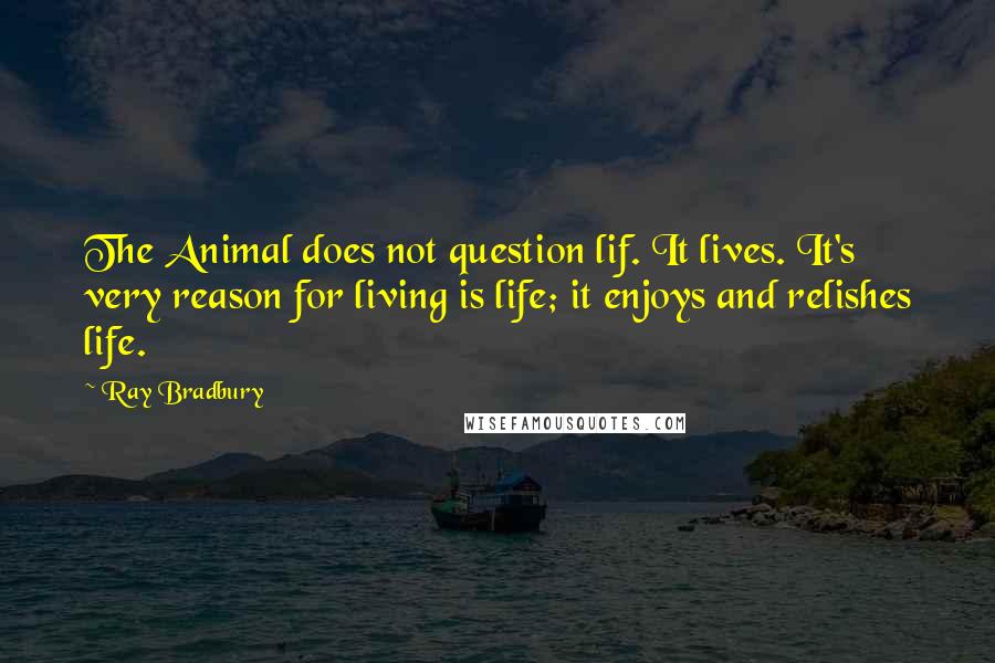 Ray Bradbury Quotes: The Animal does not question lif. It lives. It's very reason for living is life; it enjoys and relishes life.