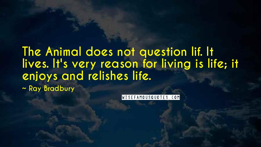 Ray Bradbury Quotes: The Animal does not question lif. It lives. It's very reason for living is life; it enjoys and relishes life.