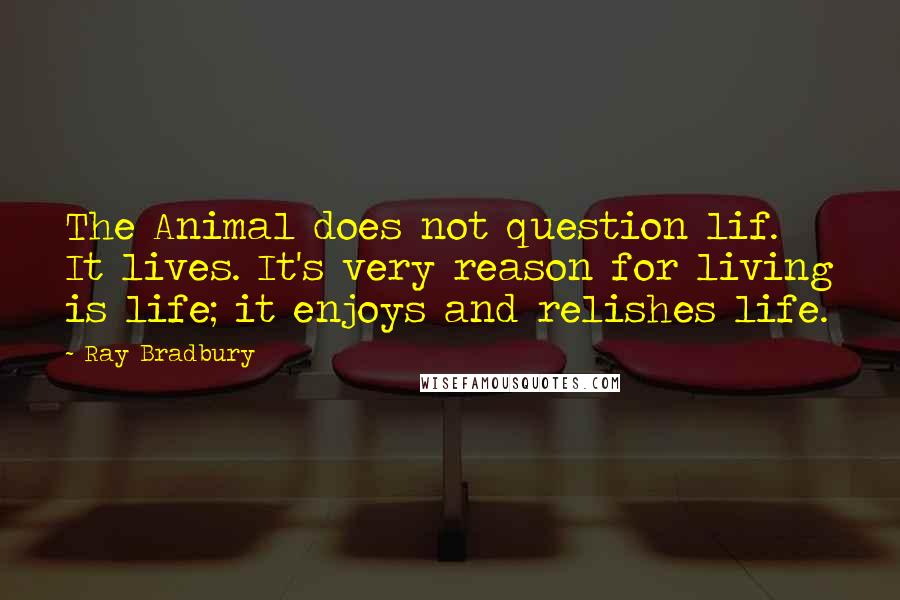 Ray Bradbury Quotes: The Animal does not question lif. It lives. It's very reason for living is life; it enjoys and relishes life.
