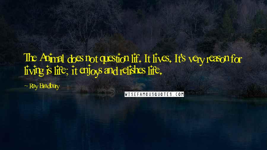 Ray Bradbury Quotes: The Animal does not question lif. It lives. It's very reason for living is life; it enjoys and relishes life.
