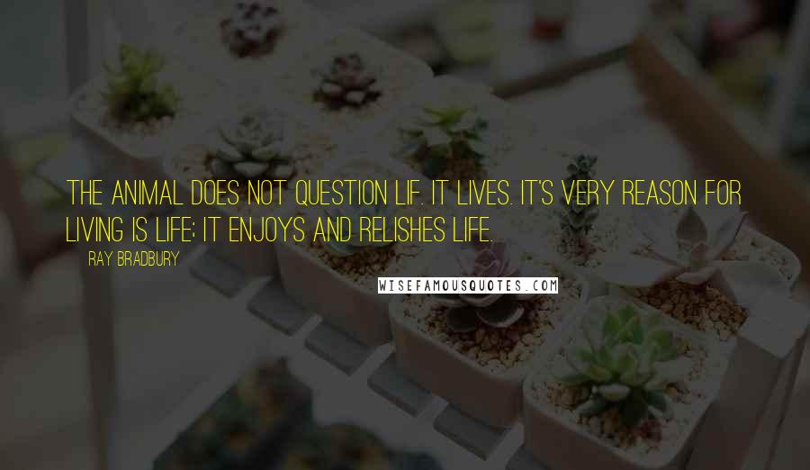 Ray Bradbury Quotes: The Animal does not question lif. It lives. It's very reason for living is life; it enjoys and relishes life.