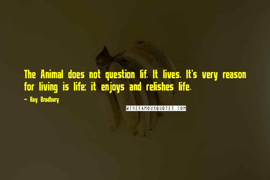 Ray Bradbury Quotes: The Animal does not question lif. It lives. It's very reason for living is life; it enjoys and relishes life.