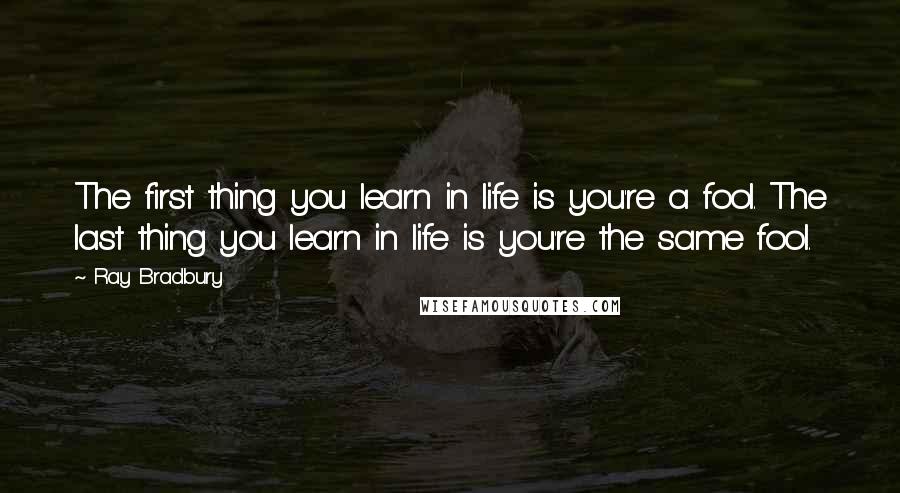 Ray Bradbury Quotes: The first thing you learn in life is you're a fool. The last thing you learn in life is you're the same fool.