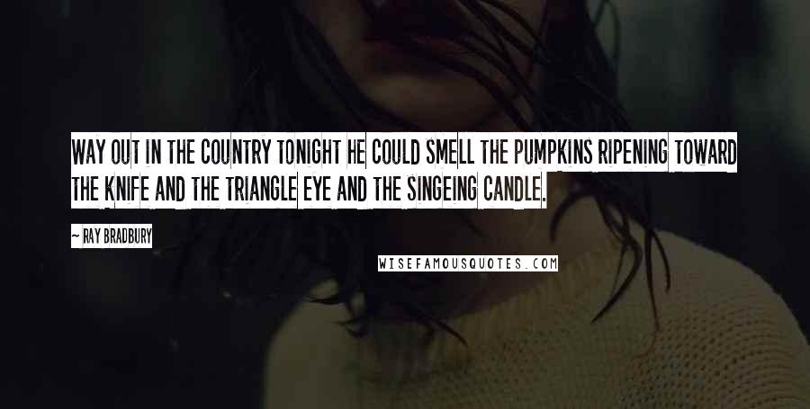 Ray Bradbury Quotes: Way out in the country tonight he could smell the pumpkins ripening toward the knife and the triangle eye and the singeing candle.