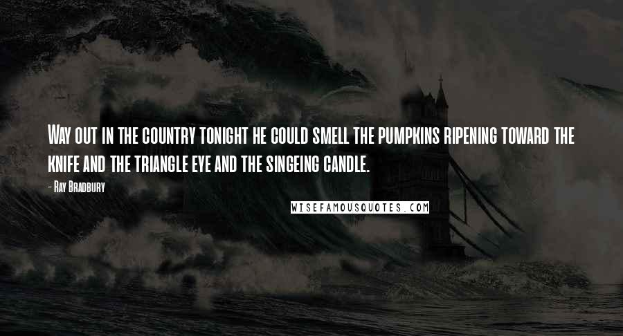 Ray Bradbury Quotes: Way out in the country tonight he could smell the pumpkins ripening toward the knife and the triangle eye and the singeing candle.