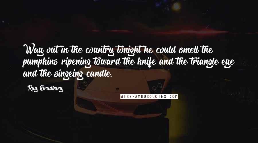 Ray Bradbury Quotes: Way out in the country tonight he could smell the pumpkins ripening toward the knife and the triangle eye and the singeing candle.