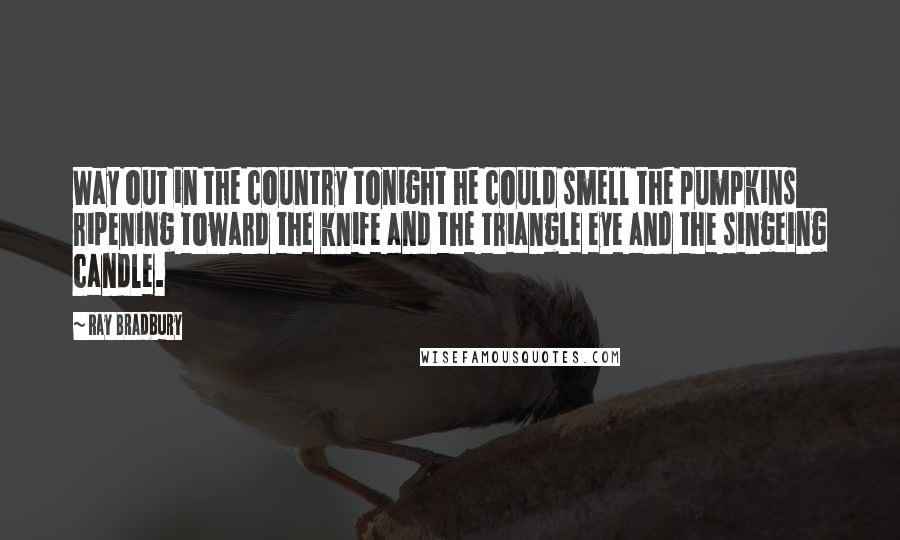 Ray Bradbury Quotes: Way out in the country tonight he could smell the pumpkins ripening toward the knife and the triangle eye and the singeing candle.