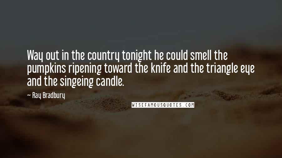 Ray Bradbury Quotes: Way out in the country tonight he could smell the pumpkins ripening toward the knife and the triangle eye and the singeing candle.