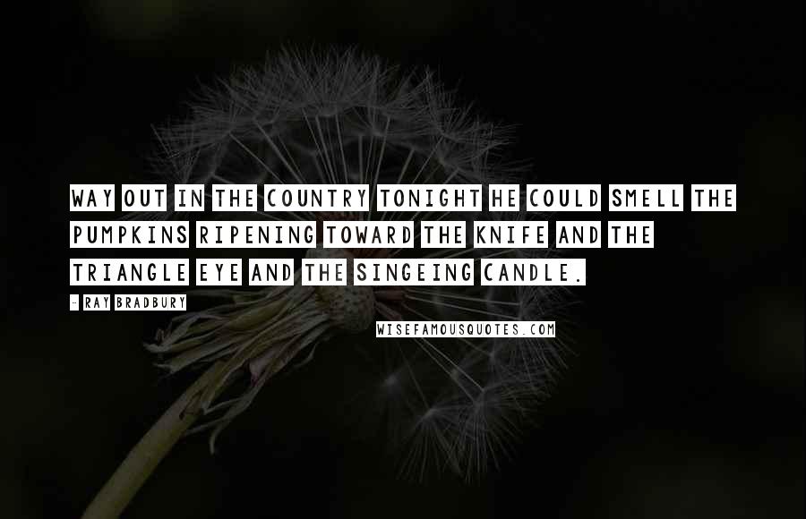 Ray Bradbury Quotes: Way out in the country tonight he could smell the pumpkins ripening toward the knife and the triangle eye and the singeing candle.