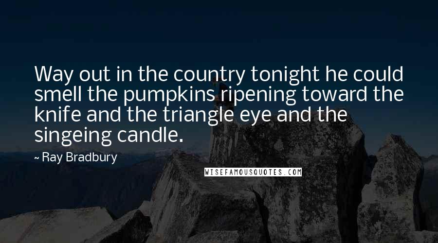 Ray Bradbury Quotes: Way out in the country tonight he could smell the pumpkins ripening toward the knife and the triangle eye and the singeing candle.