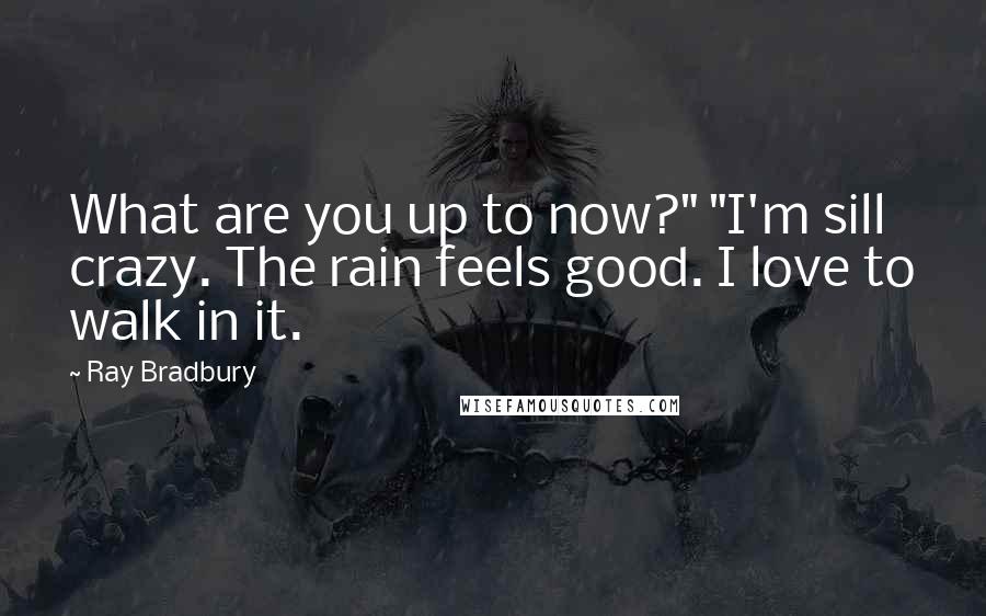 Ray Bradbury Quotes: What are you up to now?" "I'm sill crazy. The rain feels good. I love to walk in it.